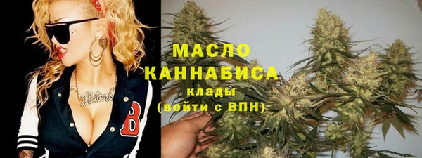 mdpv Ельня