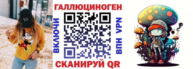 Купить где Камешково Псилоцибиновые грибы мицелий